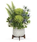 Style Statement Bouquet Cottage Florist Lakeland Fl 33813 Premium Flowers lakeland